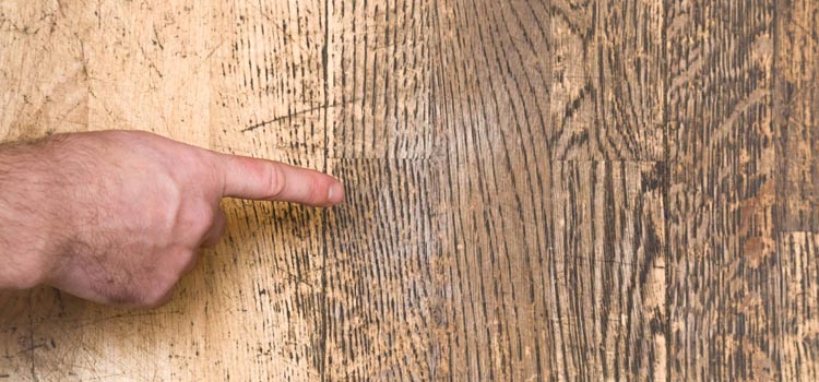 Wood Door Scratch Repair in Los Osos